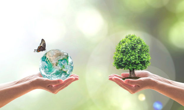 ENVIRONMENTALLY FRIENDLY